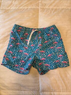 chubbies Swim Shorts with Pink Flamingo Print